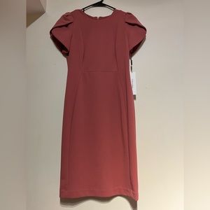 Calvin Klein Mauve Pink Dress